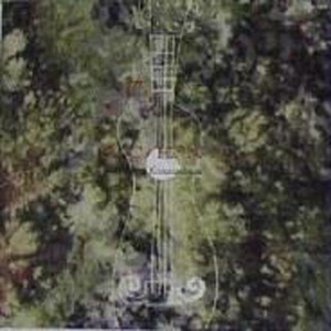 大鸡吧插少妇的穴
